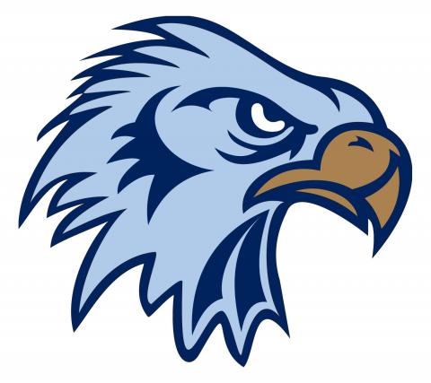 Skyhawk Head Logo
